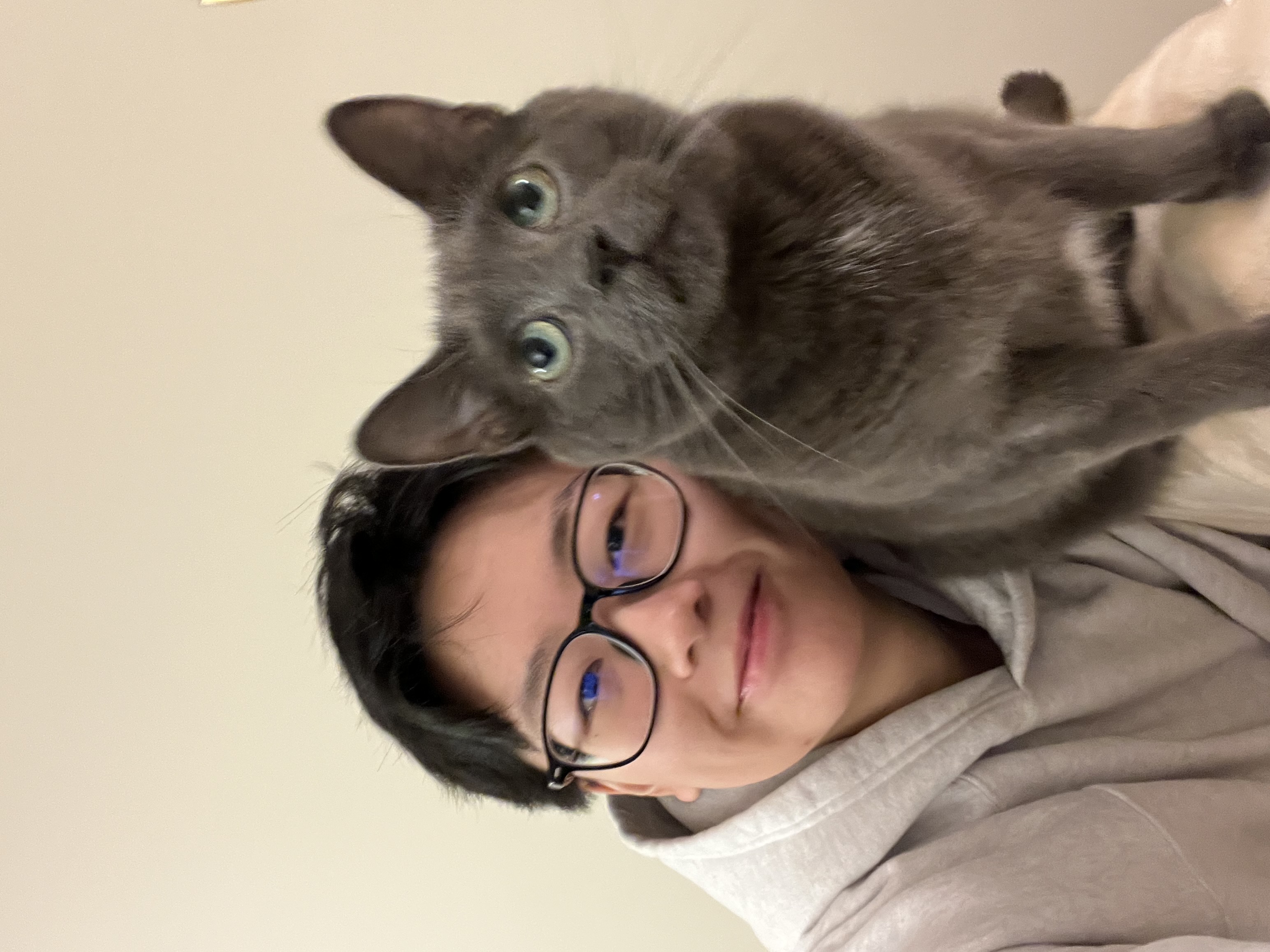 My cat Twenty 4